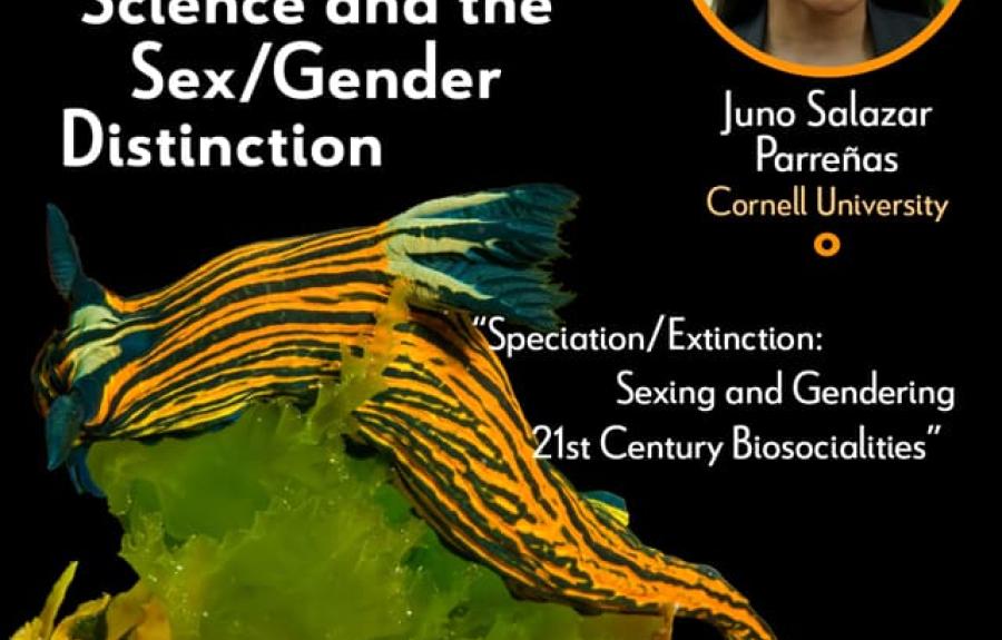IRW Distinguished Lecture Series