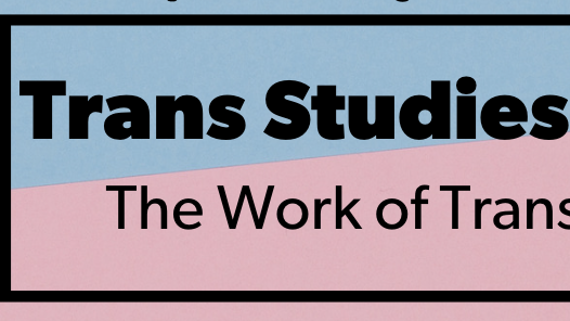 Trans Studies Now