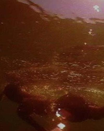 Image of somone swimming in sea of blood