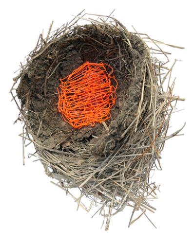 Gribble nest