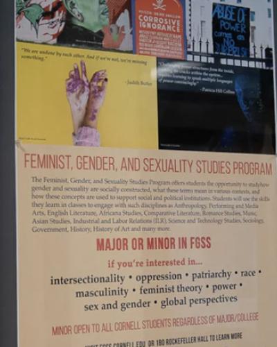 FGSS major/minor bulletin board